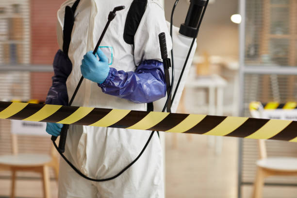 Professional Hoarding Cleanup technician working in Abington, MA